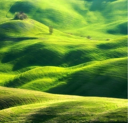 您的所有努力都是有意义的