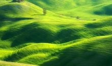 你所有的付出都有意义