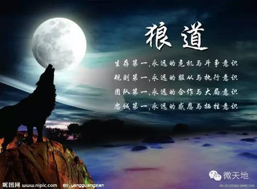 me脚狼的奋斗历史