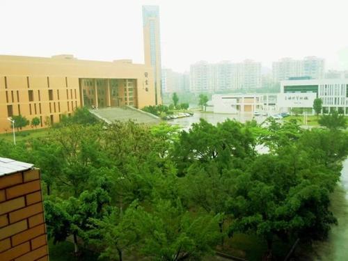 逆境是上帝帮助您消除竞争对手的地方