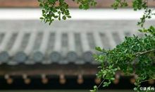 快乐是一种心境，也是一种心情