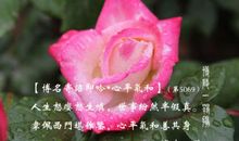 心平气和的诗句