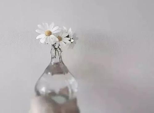 4个非常干净的句子，对生活有用