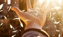 只要你足够好——写给理想受挫的人们