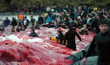 地沟里的成人礼