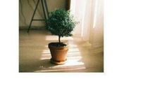 经典语录：如果你很迷恋一个人，那你一定配不上他