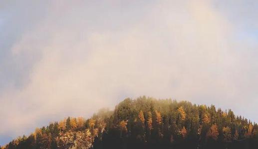 不要打架，不要比较，不要问