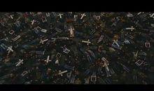 每一个生命都应该活出不同的精彩