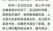 小学作文：我想这样过寒假