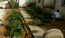 经历风雨，共同努力