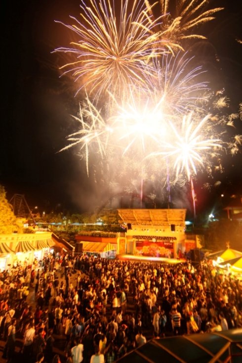 描述烟花的组成：烟花