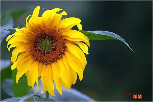 我们不需要按照别人的标准生活