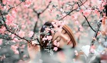 心情感悟16句：唯美经典语录，深入人心