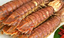 人生没有失败，只有铺垫