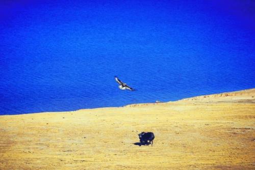 只有在公义不迟疑的情况下,我们才能勇往直前