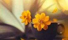 出彩的人生，都懂得迎难而上