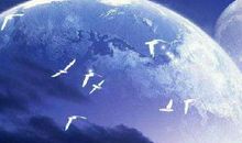 读懂这些故事，人生便无怨言