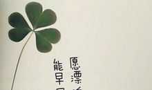 经典语录：要相信，没有到不了的明天