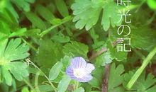 为平凡生活付出努力，就是人生的小确幸