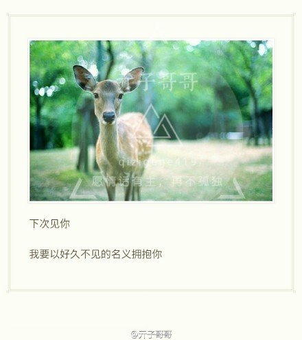 经典语录:下次见,我以长久的名义拥抱你不见