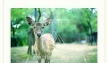 经典语录：下次见你，我要以好久不见的名义抱你