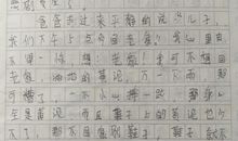 家乡的变化400字