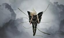 白岩松：人性不敌物欲