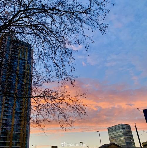 在清晨实现10,000小时的计划