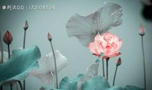 想成大才，就剪掉不必要的枝桠