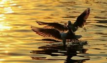 “名校毕业，工资是普通本科生3倍”：现在不吃读书苦，换来的是一生苦！