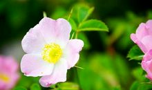 逆境让生命充满能量