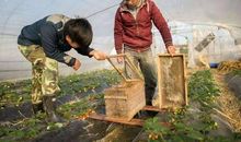 为什么农村出来的大学生大多混得比较差？