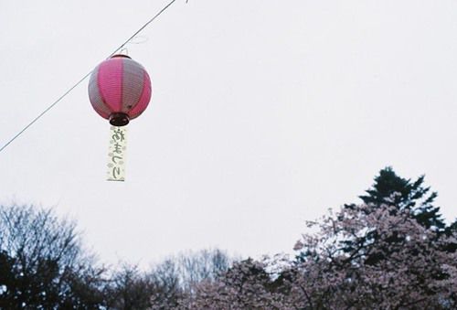 高中生励志文章：飞向生命的天空