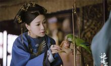 陈子良：只上3年学，年赚6000万