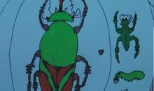 梦想是个势利眼