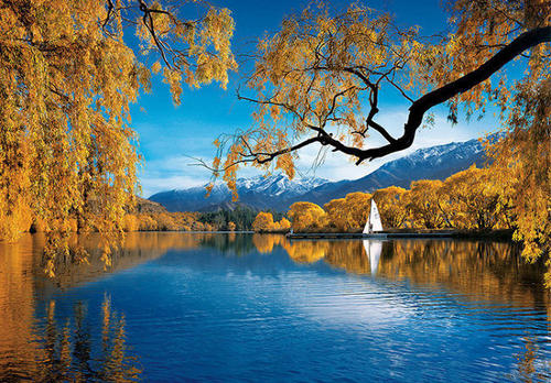 总有一种做梦的方式