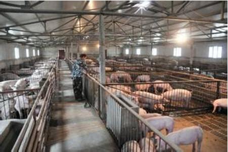 将公务保留在公司中:如何科学合理地利用一天