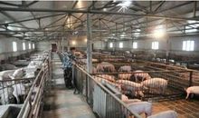 把公事留在公司：如何科学合理地运用一天的时间