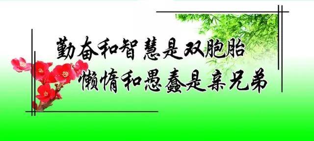 早安的想法：再往前看，你不会难过