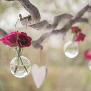 我看不起世界的沧桑，我的心脏安然无sound