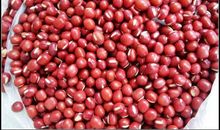 把自己培育成一粒红绿豆