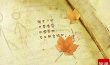 经典语录：懂，是世界上最温情的语言