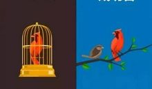 励志文章：成功者与失败者的根本差异