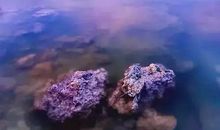 苦难难以长久，坚毅的人总会出头