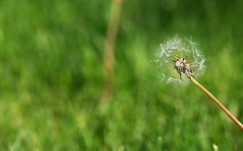 为什么您对自己越近越不耐烦，就越容易生气？