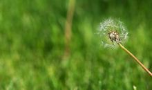 为什么对越亲的人越没耐心，越容易生气发火？