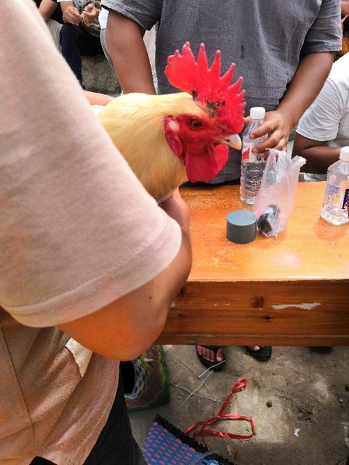 成功重复简单的事情