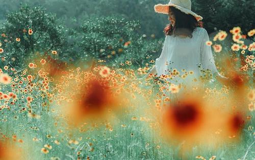 谈论颤音如何治愈情绪