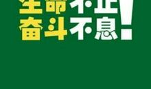 励志文章：坚持的力量