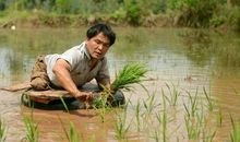 励志文章：羡慕别人，不如珍惜自己